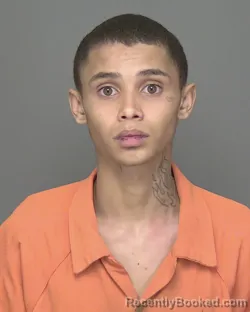 Mugshot of KINGSTON JARELL POPE