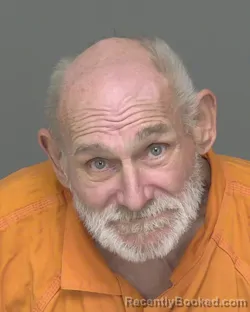 Mugshot of JERRY LEE JONES