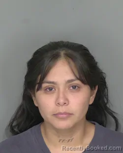 Mugshot of LEYDI ALEJANDRA PALACIOS booked in Highlands County, Florida on April 22, 2026