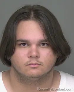 Mugshot of LEANDRO ALEXEI ABAD booked in Highlands County, Florida on April 24, 2026