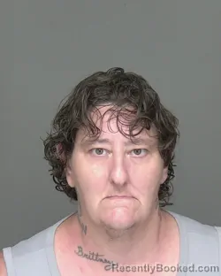 Mugshot of MARYANN VARGO booked in Highlands County, Florida on April 26, 2026