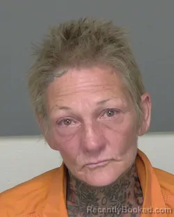 Mugshot of TAMMY LEE CHMIEL booked in Highlands County, Florida on April 30, 2026