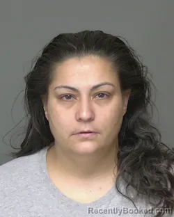Mugshot of ZENEIDA LUZ CHAPELIN booked in Highlands County, Florida on May 8, 2026
