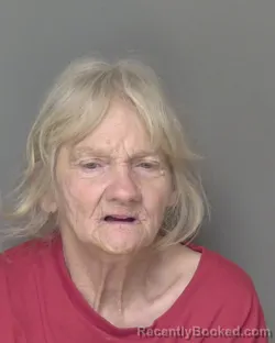 Mugshot of NANCY RUTH BOWMAN booked in Highlands County, Florida on June 6, 2026