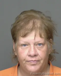 Mugshot of TONYA MCCLELLAND RODRIGUEZ booked in Highlands County, Florida on June 20, 2026