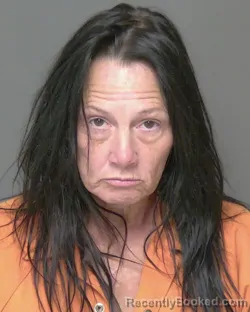 Mugshot of MARY ANN CRANFIELD booked in Highlands County, Florida on June 24, 2026