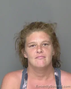 Mugshot of MELISSA MARIE CLINE booked in Highlands County, Florida on June 27, 2026