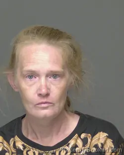 Mugshot of HEIDI RENEE WASIELEWSKI booked in Highlands County, Florida on June 29, 2026