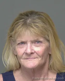Mugshot of EVELYN ANN COSTELLO booked in Highlands County, Florida on June 30, 2026