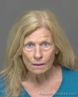 Mugshot of DEBORAH MARY MORRONE booked in Highlands County, Florida on June 30, 2026