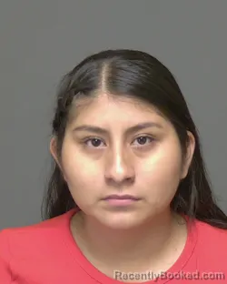 Mugshot of MONICA FLORES booked in Highlands County, Florida on July 1, 2026