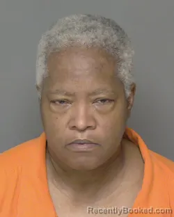 Mugshot of DELPHINE LEWIS VASSELL booked in Highlands County, Florida on July 2, 2026