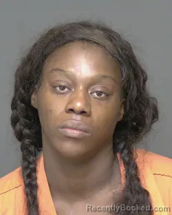 Mugshot of TABBATHA VONTRICE JOHNSON booked in Highlands County, Florida on July 6, 2026