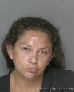 Mugshot of ASHLEY ANN CARNLEY booked in Highlands County, Florida on July 9, 2026
