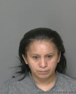 Mugshot of ANA LAURA MENDOZA booked in Highlands County, Florida on July 10, 2026