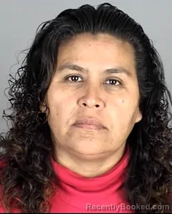 Mugshot of Maria Lugo De Herrera booked in Highlands County, Florida on July 28, 2026