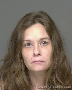 Mugshot of Ashley Nicole Roybal booked in Highlands County, Florida on August 2, 2026