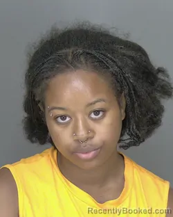 Mugshot of Je'novelli Ka'tianna Alize Smith booked in Highlands County, Florida on August 8, 2026