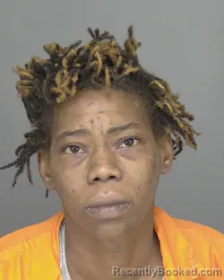 Mugshot of Sharanita Ywanna Bryant booked in Highlands County, Florida on August 10, 2026