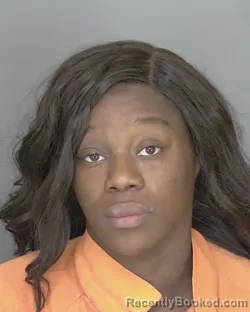 Mugshot of Tabbatha Vontrice Johnson booked in Highlands County, Florida on August 10, 2026