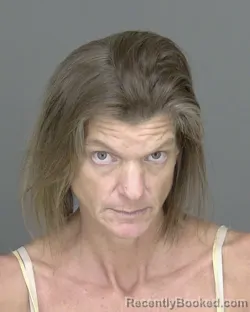 Mugshot of Heather Ann Welsh booked in Highlands County, Florida on August 12, 2026