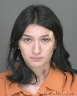 Mugshot of Reem Mohamed Tawfik booked in Highlands County, Florida on August 16, 2026