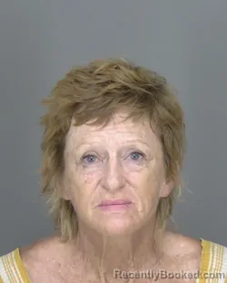 Mugshot of Jo Anne Lamar Abbott booked in Highlands County, Florida on August 21, 2026