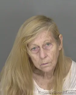 Mugshot of Geraldine Cummings booked in Highlands County, Florida on August 21, 2026
