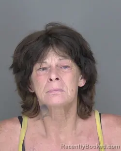 Mugshot of Tammy Ann Billings booked in Highlands County, Florida on August 22, 2026
