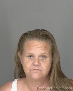 Mugshot of Tanya Kay Stroner booked in Highlands County, Florida on August 23, 2026