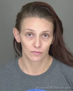 Mugshot of Paige Marie Mcnew booked in Highlands County, Florida on August 25, 2026
