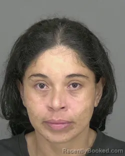 Mugshot of Damaris Torres booked in Highlands County, Florida on October 7, 2026