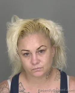 Mugshot of Tami Lee Fordham booked in Highlands County, Florida on October 16, 2026