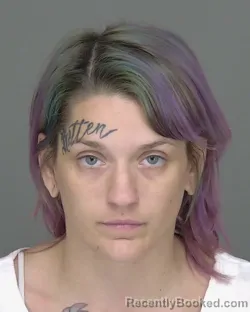 Mugshot of Amity Ida Conklin booked in Highlands County, Florida on October 23, 2026