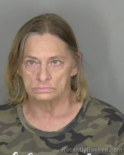 Mugshot of Connie Ruth Peacock booked in Highlands County, Florida on October 24, 2026