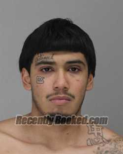 Booking photo from Dallas County, Texas