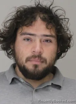 Mugshot of HECTOR DELEON