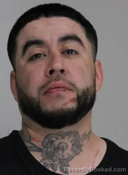 Mugshot of JUAN ROCHA