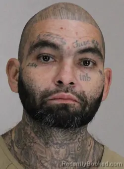 Mugshot of JOSE CASAREZ