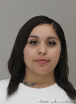Mugshot of LYDIA FLORES
