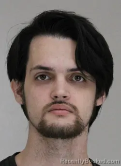 Mugshot of LOGAN YOUNG