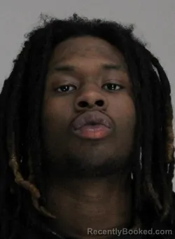 Mugshot of AREN DEJUA