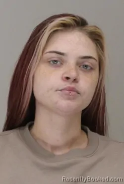 Mugshot of BRITTANY TORRES