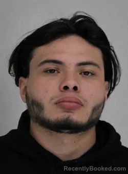 Mugshot of CRISTIAN SILVAALEJANDRO