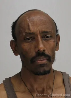 Mugshot of DESALE TEWELDE