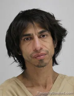 Mugshot of LEO DELEON
