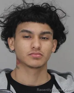 Mugshot of MICHAEL REYNOSO