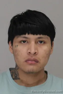 Mugshot of NELSON TZEPLOPEZ