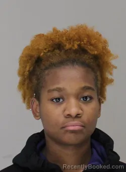 Mugshot of SANAH ADAMS