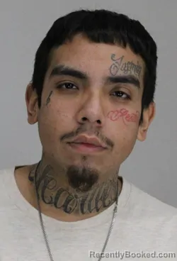 Booking photo from Dallas County, Texas